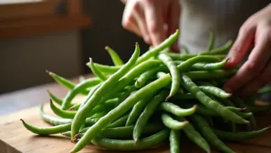 omáčka ze zelených fazolek recept – Jak připravit omáčku ze zelených fazolek: praktický recept a tipy