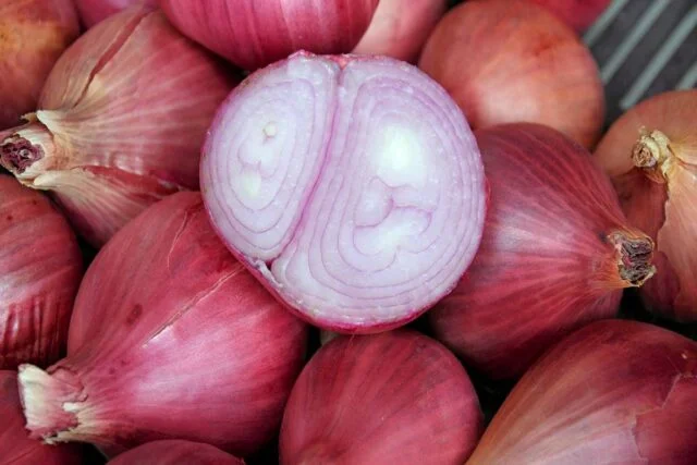 Červená cibule množilka rozkrojená na polovinu ukazuje vrstvy.