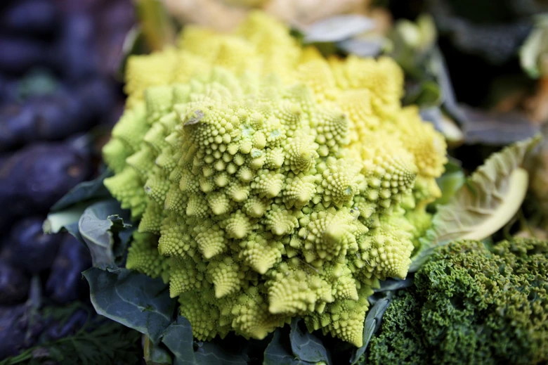 Zelená hlava brokolice romanesco s charakteristickým vzorem.