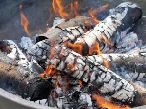 Burning wood logs