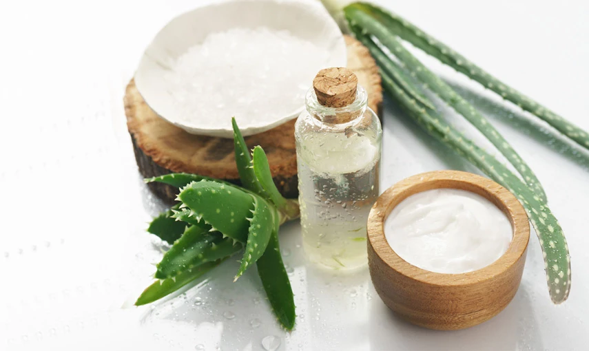 Domácí přípravky z aloe vera – gel, krém a extrakt