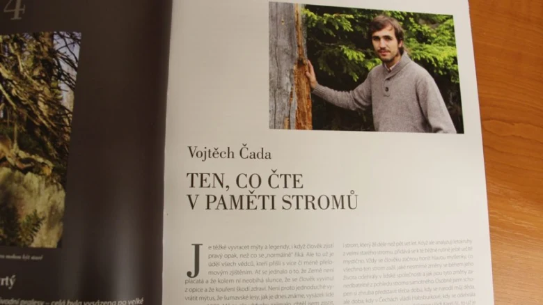 Muž zkoumá kůru stromu v přírodě.