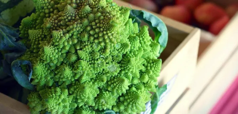Zelená hlava brokolice romanesco v dřevěném koši.
