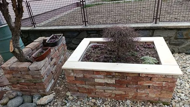 Vyvýšený záhon z cihel s rostlinami na zahradě.