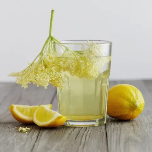 Limonáda z černého bezu s citronem