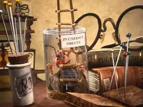 Pupenec v nádobě s popiskem Puchmeloun obecný