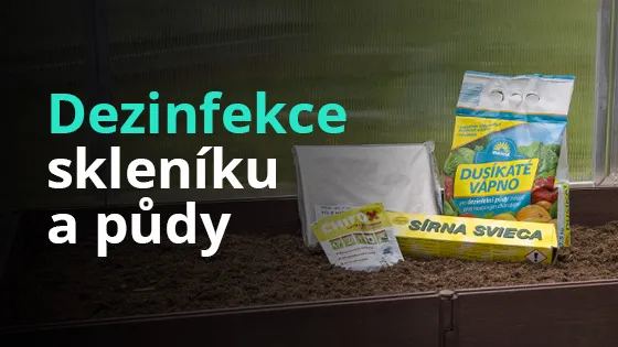 Prostředky na dezinfekci skleníku a půdy: sírna svíčka, dusíkaté vápno