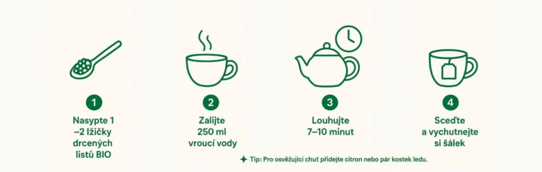 Postup přípravy čaje z máty v čtyřech krocích.