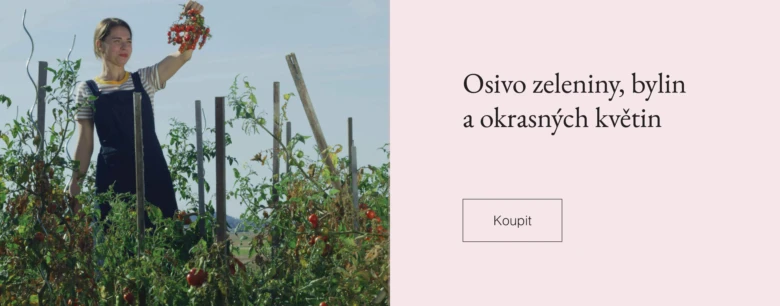 Žena s rajčaty na zahradě mezi zeleninou.