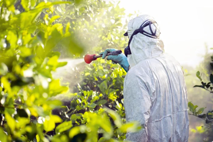 Osoba v ochranném obleku postřikuje rostliny pesticidem.