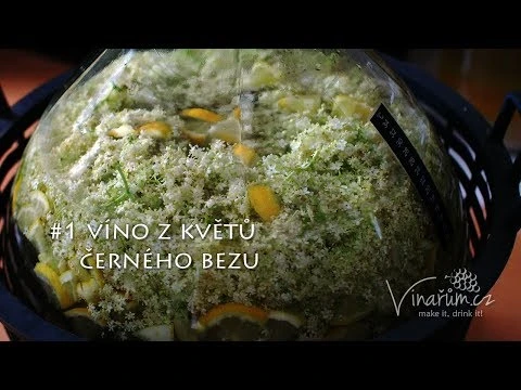 Příprava bezinkového vína z květů černého bezu