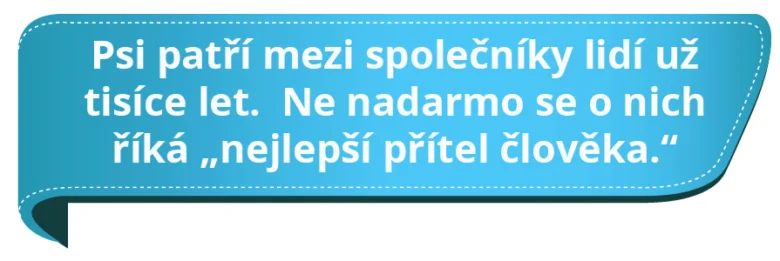 Modrý bublina s českým textem o psech jako přáteli lidí.