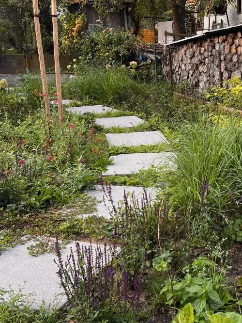 Přírodní zahradní cesta s kamennými dlaždicemi a divokou květinovou výsadbou.