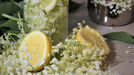Domácí limonáda z černého bezu s citronem