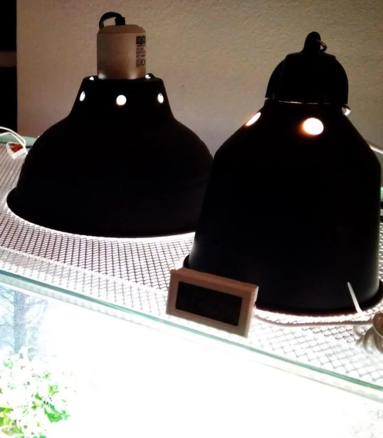 Tepelné lampy pro chameleony na mřížce nad teráriem.