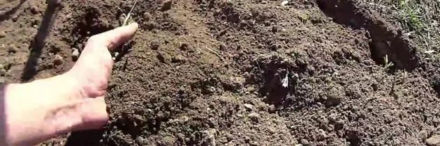Ruka drží zeminu pro měření ph.