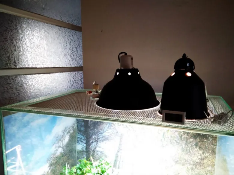 Terárium pro kameleona s dvěma žárovkami na vytápění.
