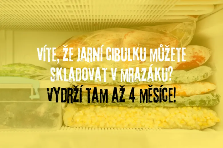 Mražené jarní cibulky v mrazáku na skladování.