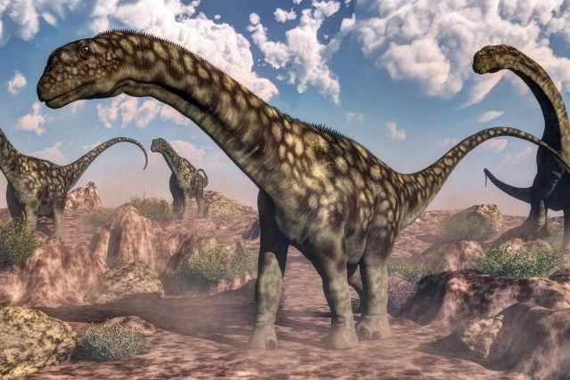 Skupina dlouhokrkých dinosaureů na skalnatém terénu pod oblohou.