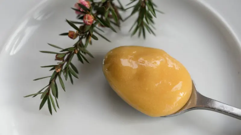 Žlutý pudink na lžičce s rozmarýnem