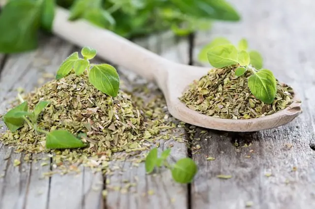 Suchá oregano v lžíci s čerstvými větvičkami na dřevě.